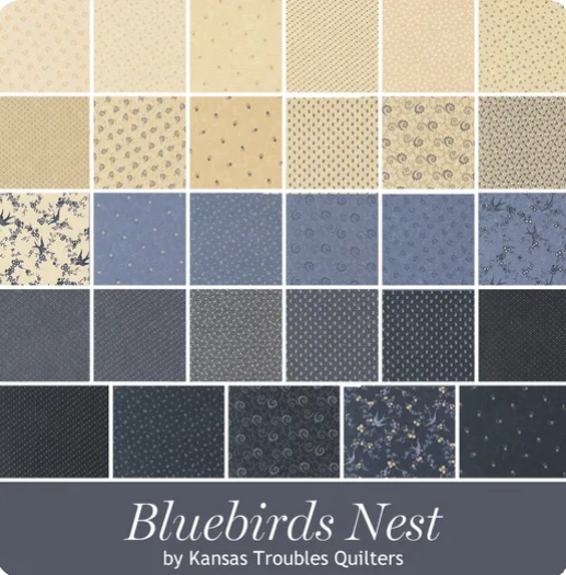 Blue Bird's Nest
