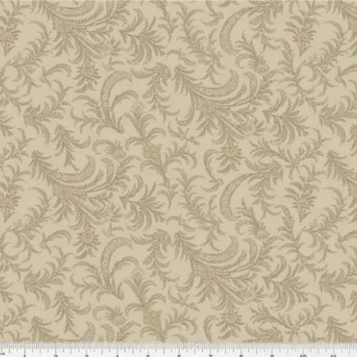 OXFORD 53891-4 ALMOND WIDE