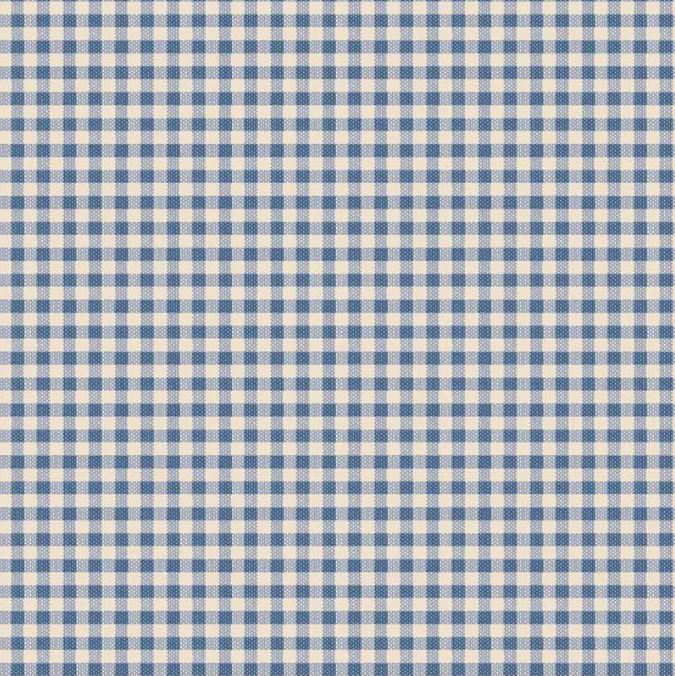 CREATING MEMORIES SUMMER AND OCEAN GINGHAM BLUE