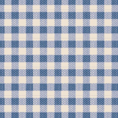 160073_gingham_blue