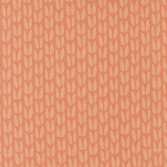 51272_19_935187864