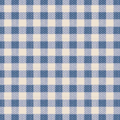 160073_gingham_blue