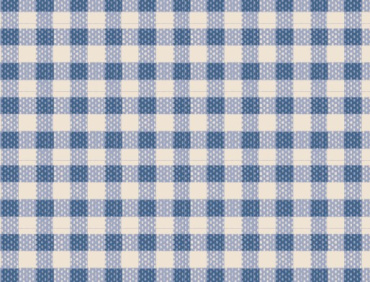 160073_gingham_blue