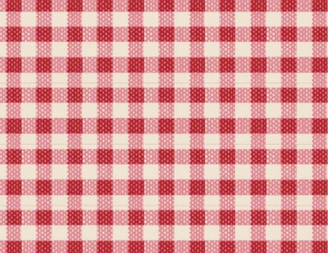 160087_gingham_red