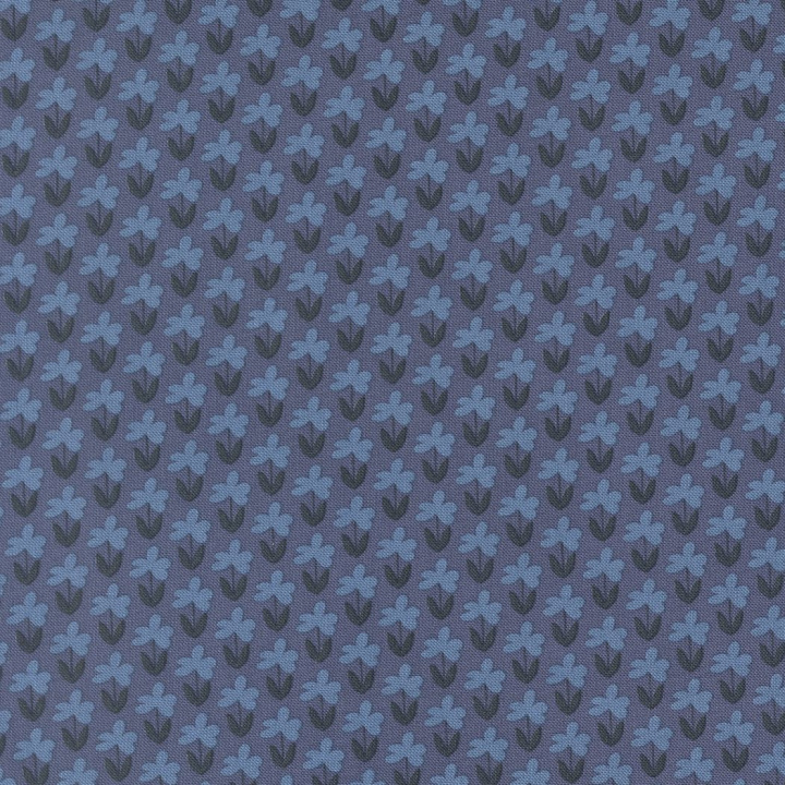 51271_15