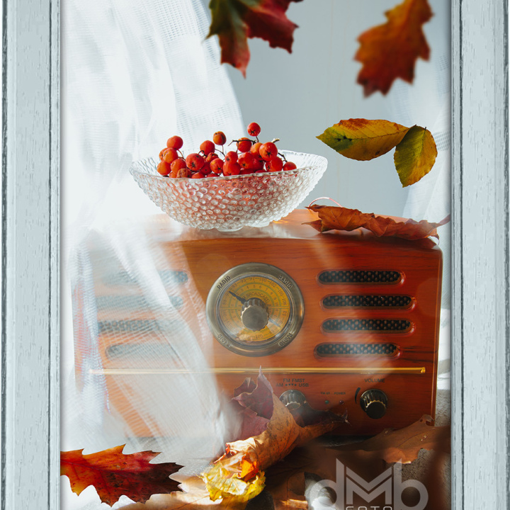 radio_fall_2